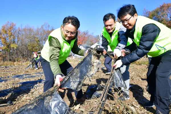 김인태(왼쪽) NH농협은행 부행장과 직원들이 내포긴들마을에서 영농폐비닐 수거활동을 실시하고 있다. 사진=농협은행.