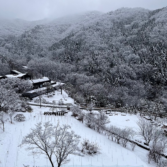 사진=힐리언스 선마을 겨울 전경