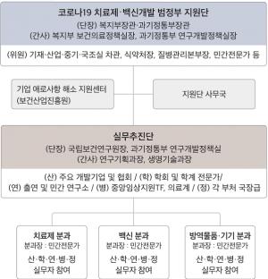 '코로나19 치료제 신속 개발'…범정부 실무추진단 출범