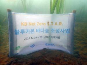 국민은행, ‘KB Net Zero S.T.A.R. 블루카본 바다숲’ 조성