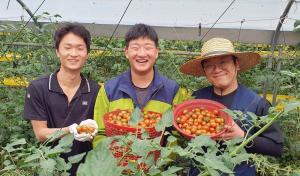 쿠팡, 전량폐기 앞둔 토마토 농가 지원…1주간 400여 톤 매입