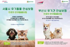 DB손해보험, 서울시·부산시와 함께 유기동물 입양문화 조성 협력 ‘박차’