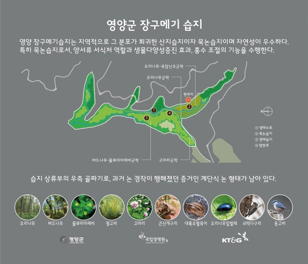 KT&G가 지난 1월 국립생태원과 함께 경북 영양군에 위치한 ‘장구메기 습지’의 보존 공사를 완료했다. 사진은 경북 영양군에 위치한 ‘장구메기 습지’의 안내판 이미지. 사진=KT&