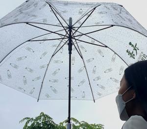 이마트24, 우산 매출 전년 대비 6월 45%, 7월초 33% 증가해
